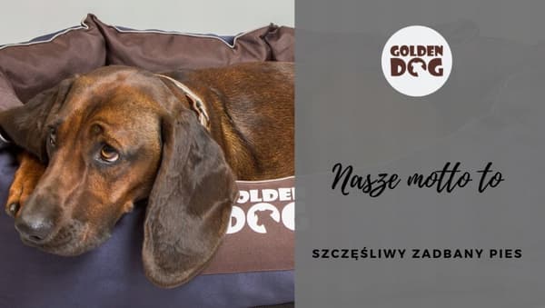 SÄNG för hund, katt typ BOOTH "M"