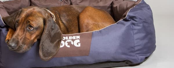 Sengetæppe Golden Dog firkantet M