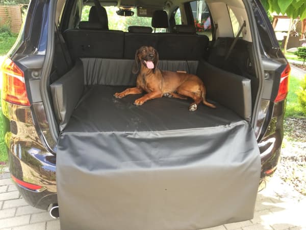 HUNDSÄNG, BAGAGERUMMESÄNG, bilmatta för hund M