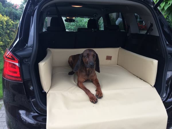 HUNDSÄNG, BAGAGERUMMESÄNG, bilmatta för hund M
