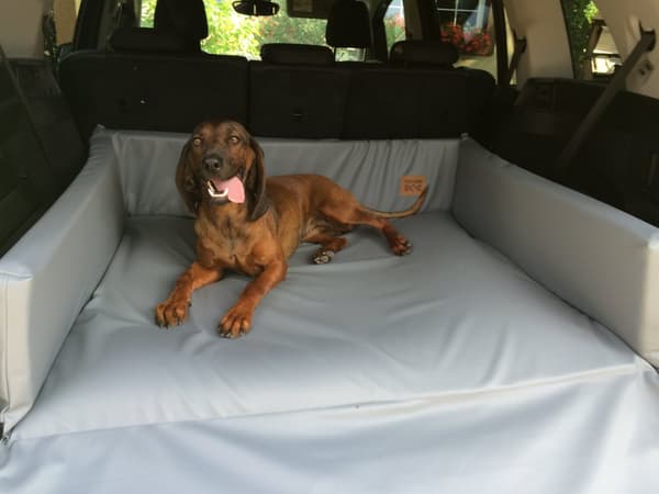 SENG, BAGAGERUMSSENG, bilmåtte til hund S
