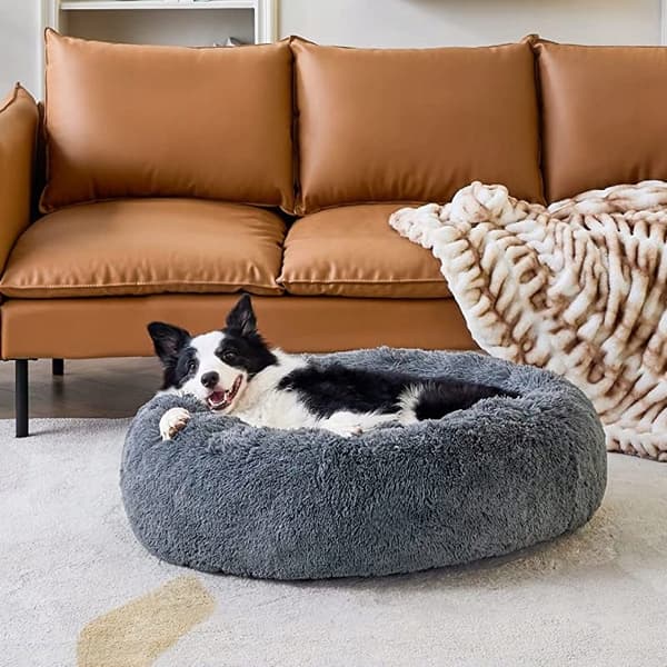 KOMFORTABEL XL HUNDE- OG KATTEPUDE