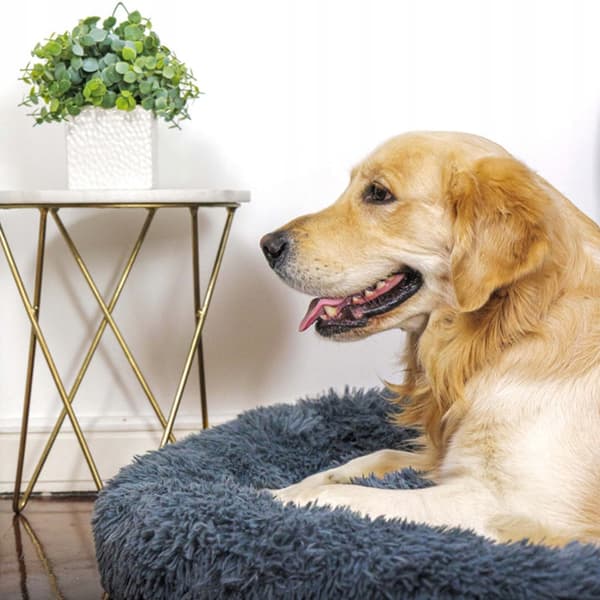 KOMFORTABEL XL HUNDE- OG KATTEPUDE