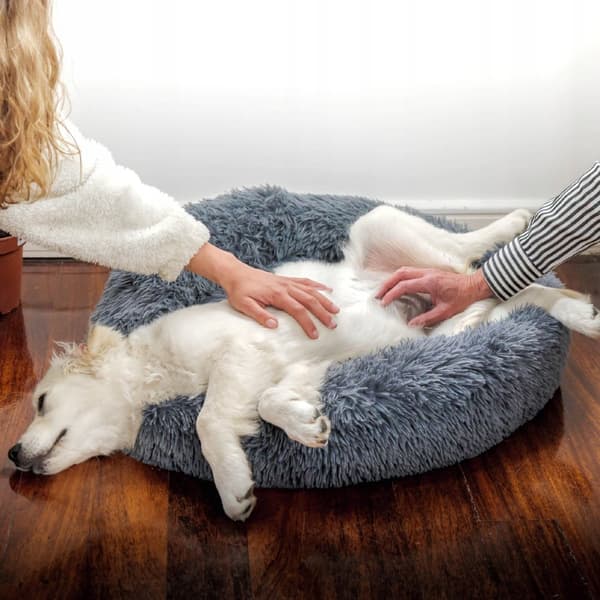 KOMFORTABEL XL HUNDE- OG KATTEPUDE