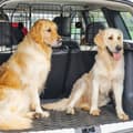 Miniatyrbillede 2 af 9: Hundegitter, 93-150 cm, Sort