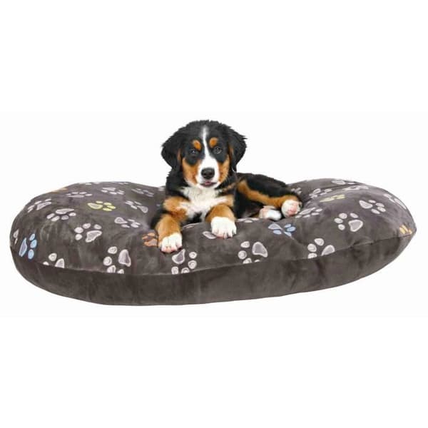 TRIXIE Jimmy soikea tyyny - 80 × 50 cm - taupe