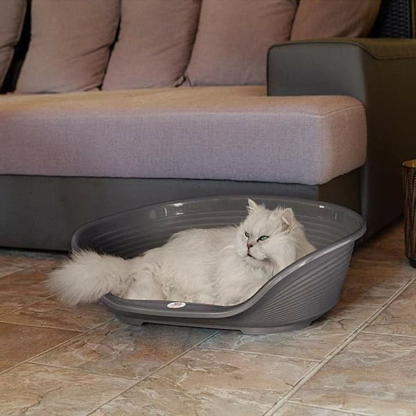 Hund Bed Ferplast Siesta Deluxe 4 Mørkegrå 61,5 x 45 x 21,5 cm