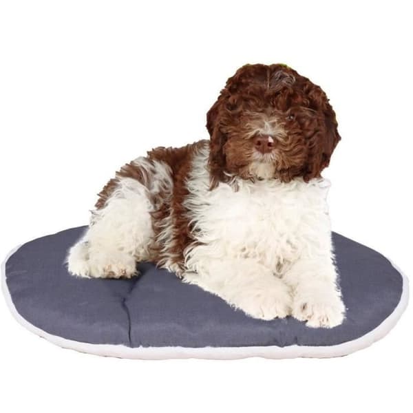 Tyyny - FERPLAST - RELAX 78/8 - 78 x 50 cm - Kangasta ja turkista