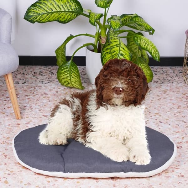 Tyyny - FERPLAST - RELAX 78/8 - 78 x 50 cm - Kangasta ja turkista