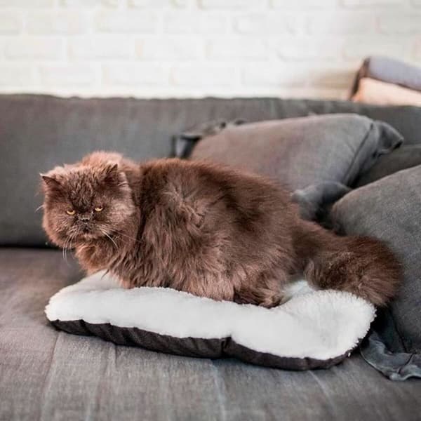 Hund Bed Ferplast