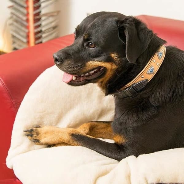 Hund Bed Ferplast