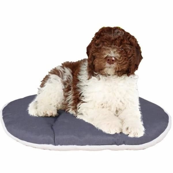 Hund Bed Ferplast