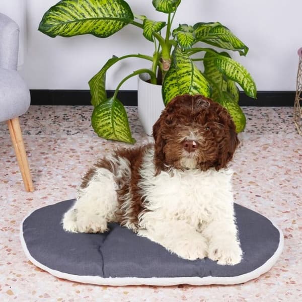 Hund Bed Ferplast