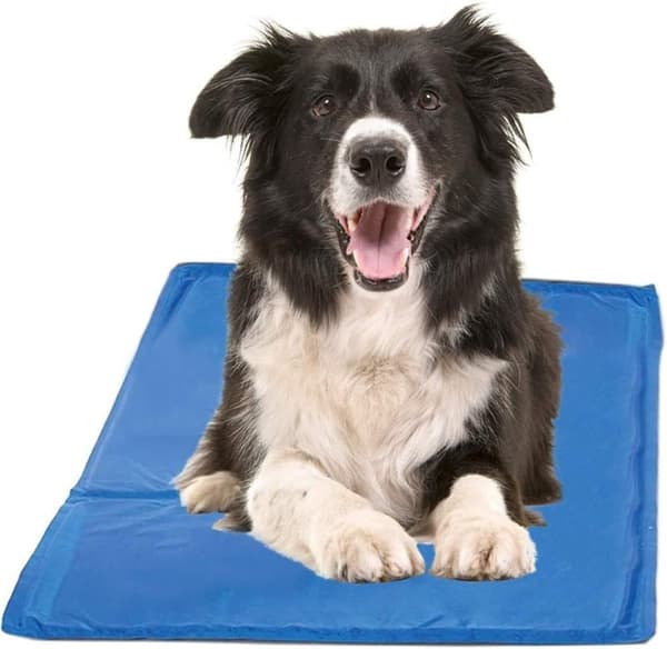 Lollanda Selvkølende Kølemåtte til Hunde og Katte, Hundetæppe, Kølepude - 30x40 til 50x90 cm