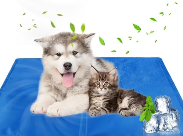 Lollanda Selvkølende Kølemåtte til Hunde og Katte, Hundetæppe, Kølepude - 30x40 til 50x90 cm