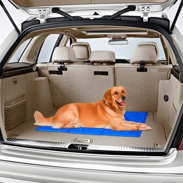 Lollanda Selvkølende Kølemåtte til Hunde og Katte, Hundetæppe, Kølepude - 30x40 til 50x90 cm
