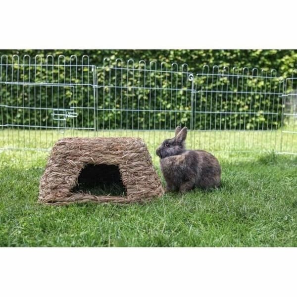 Hundeseng Kerbl Natur