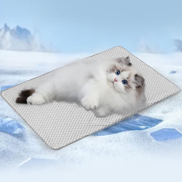 Lollanda Kylmatta för Hund & Katt i Is-silk, Hundmatta, Kyldyna som svalkar - 50x40 till 80x60 cm