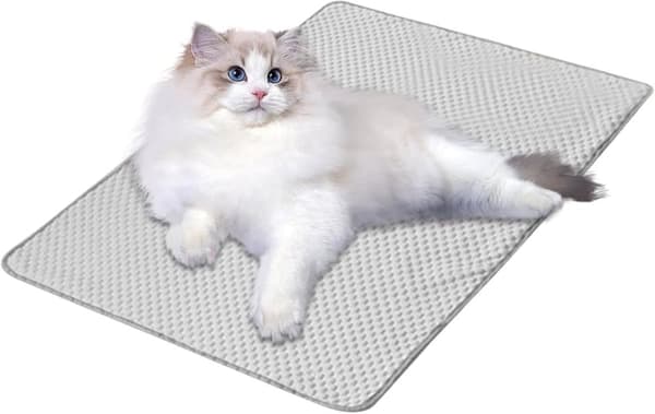 Lollanda Kylmatta för Hund & Katt i Is-silk, Hundmatta, Kyldyna som svalkar - 50x40 till 80x60 cm