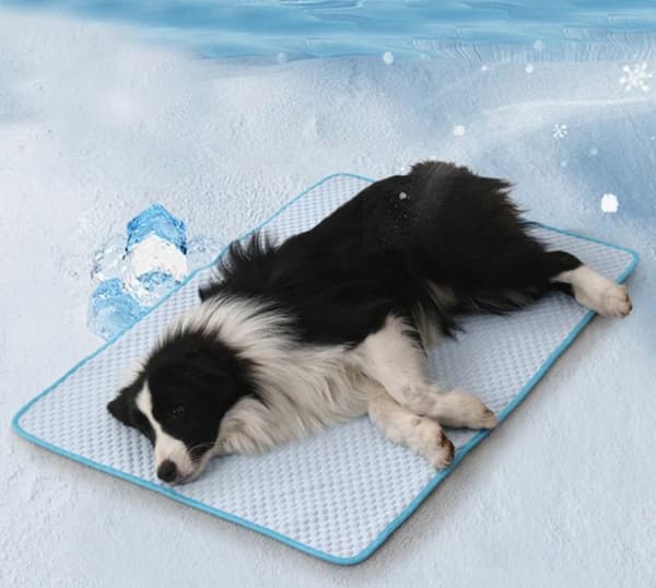 Lollanda Kylmatta för Hund & Katt i Is-silk, Hundmatta, Kyldyna som svalkar - 50x40 till 80x60 cm