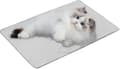 Miniatyrbild 1 av 5: Moorle Is-silk Kylmatta för Husdjur, Kylmatta för Hund & Katt / Kyldyna som svalkar - Sommar