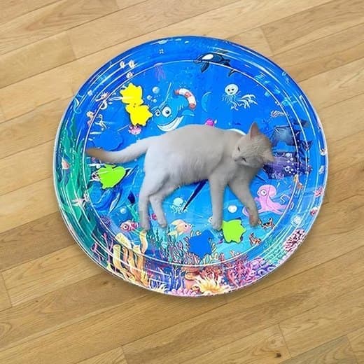 Lollanda Vattenspelmatta för Husdjur, kylmatta för katt och små hundar  - Sensorisk Matta 65x65 cm, Inflaterbar, Kan fyllas med vatten