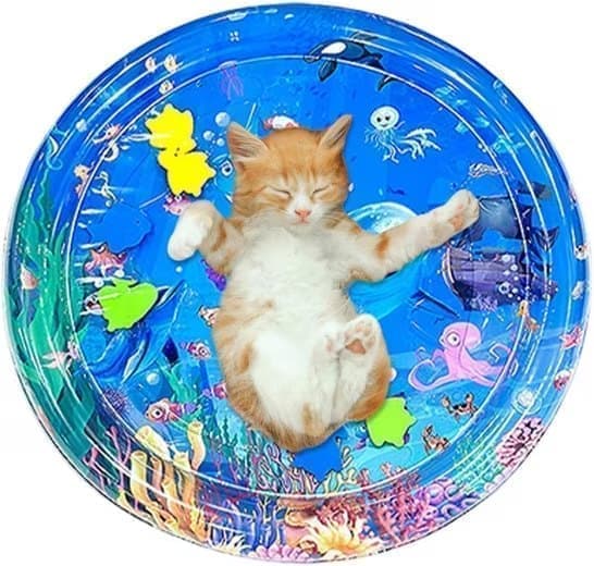 Lollanda Vattenspelmatta för Husdjur, kylmatta för katt och små hundar  - Sensorisk Matta 65x65 cm, Inflaterbar, Kan fyllas med vatten