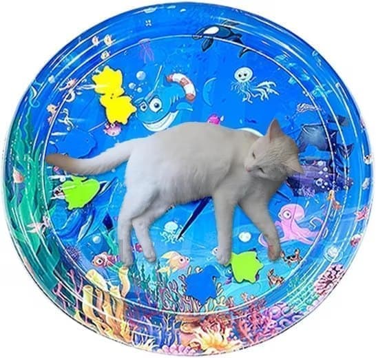 Lollanda Vattenspelmatta för Husdjur, kylmatta för katt och små hundar  - Sensorisk Matta 65x65 cm, Inflaterbar, Kan fyllas med vatten