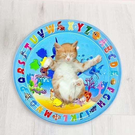 Lollanda Vattenspelmatta för Husdjur, kylmatta för katt och små hundar - Sensorisk Matta 65x65 cm, Inflaterbar, Kan fyllas med vatten
