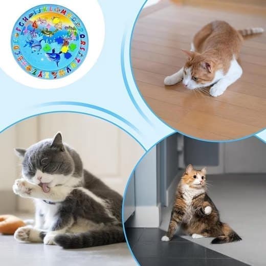 Lollanda Vattenspelmatta för Husdjur, kylmatta för katt och små hundar - Sensorisk Matta 65x65 cm, Inflaterbar, Kan fyllas med vatten