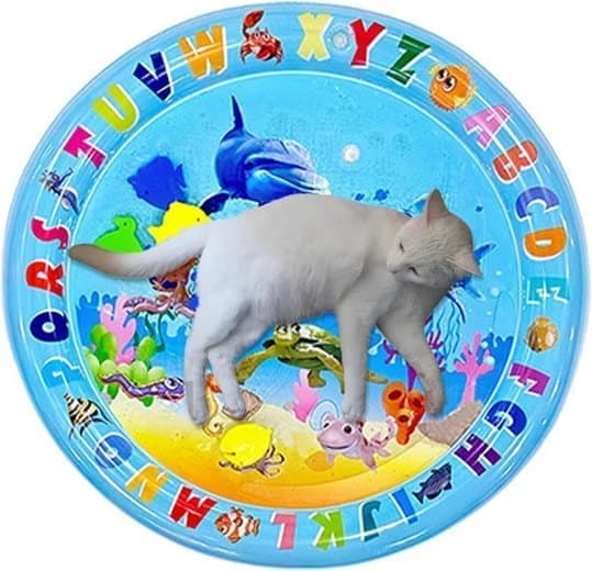 Lollanda Vattenspelmatta för Husdjur, kylmatta för katt och små hundar - Sensorisk Matta 65x65 cm, Inflaterbar, Kan fyllas med vatten