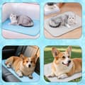 Miniatyrbild 5 av 10: Lollanda Självkylande hundmatta och kattmatta – tvättbar kylmatta för hund och katt, svalkande och bekväm, flera storlekar och färger