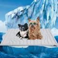 Miniatyrbild 10 av 10: Lollanda Självkylande Husdjursmatta, Hundmatta, kylmatta för katt och små hundar - Andningsbar, 3 Storlekar