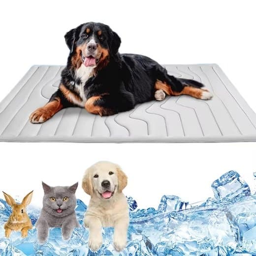 Lollanda Självkylande Husdjursmatta, Hundmatta, kylmatta för katt och små hundar - Andningsbar, 3 Storlekar L-71×122 cm