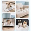 Miniatyrbillede 7 af 10: Lollanda Selvkølende Kæledyrsmåtte, Hundetæppe, Kølemåtte til kat og små hunde - Åndbar, 3 størrelser
