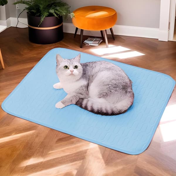 Lollanda Kylmatta för Hund och Katt, Hundmatta - Antihalk Husdjursmatta i Siden, Bekväm och andningsbar, flera färger och storlekar
