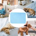 Miniatyrbild 5 av 6: Lollanda Kylmatta för Hund och Katt, Hundmatta - Antihalk Husdjursmatta i Siden,  Bekväm och andningsbar, flera färger och storlekar