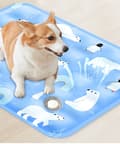 Miniatyrbild 5 av 6: Lollanda Kylmatta för Husdjur, Kylmatta för Hund och Katt, kylmatta för husdjur sommar – Fyll med vatten, Gel, Vattentät, gul