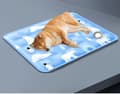 Miniatyrbild 6 av 6: Lollanda Kylmatta för Husdjur, Kylmatta för Hund och Katt, kylmatta för husdjur sommar – Fyll med vatten, Gel, Vattentät, gul