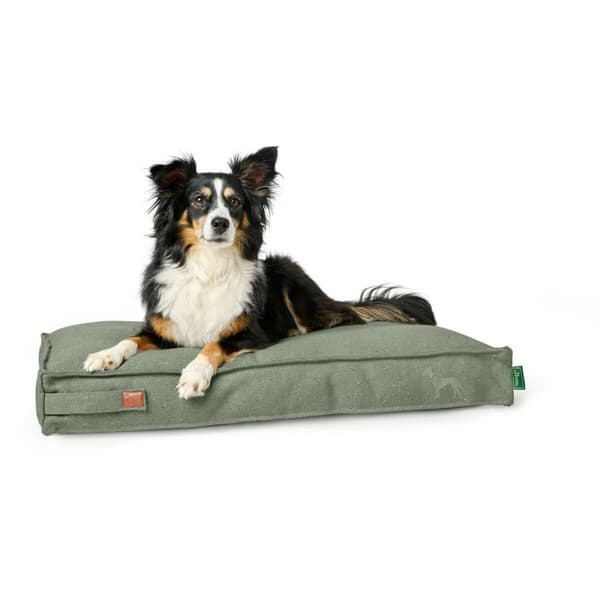 Hund Bed Hunter Belluno Grøn 100 x 70 cm