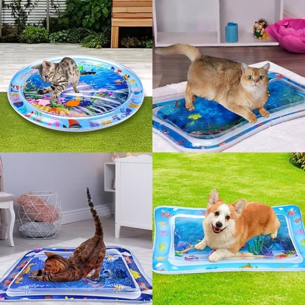 Lollanda Vattenspelmatta för Husdjur, Kattvattenbädd 2025, kylmatta för katt och små hundar – Kylande, Sensorlekmatta, 50x69cm, Kan fyllas med vatten