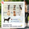 Pikkukuva 4 / 9: Lemmikkieläinten vaunut, Hundewagen, 67x45x96 cm, Harmaa