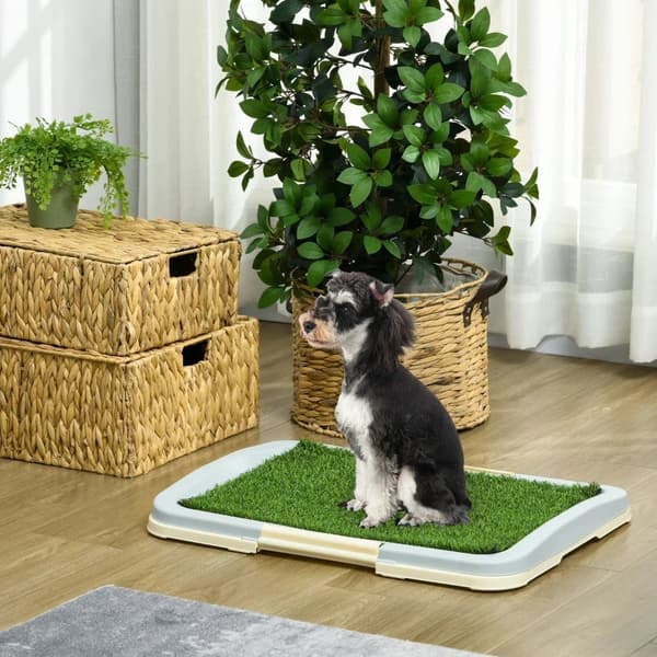 Rootz hundtoalett - Valptoalett - 2 lager - Konstgräs - Återanvändbar - Träningsdyna för valp - Grön + Vit - 63 x 48,5 x 6 cm