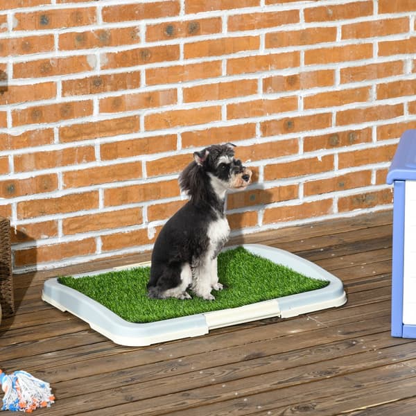 Hvalpe Toilet, 63x48.5 cm, Blå
