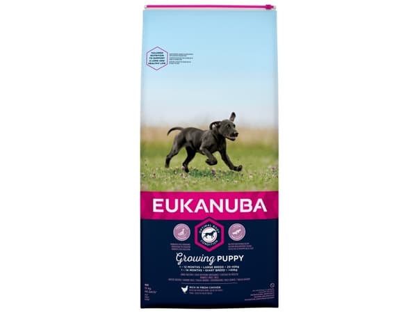 Eukanuba Euk Puppy Large Breed 15 kg