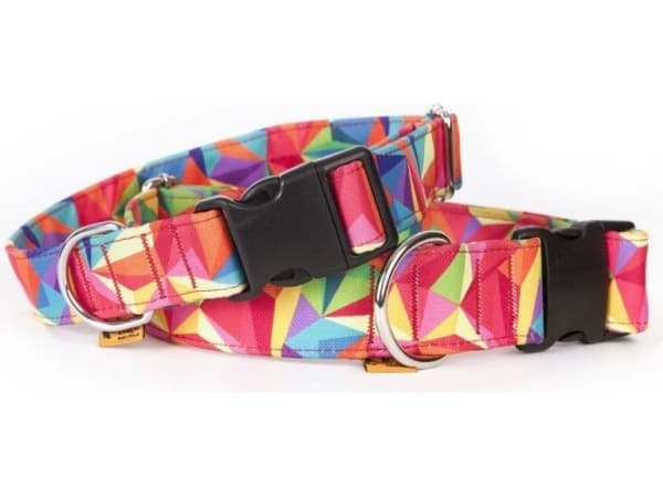 Dingo Adjustable Collar America-Colorado 4 x 75 cm (40-67 cm) kaleidoscope