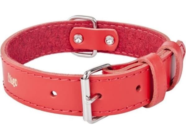 Dingo leather collar lined with felt, width 1.0 cm, length 24 cm red - 13603