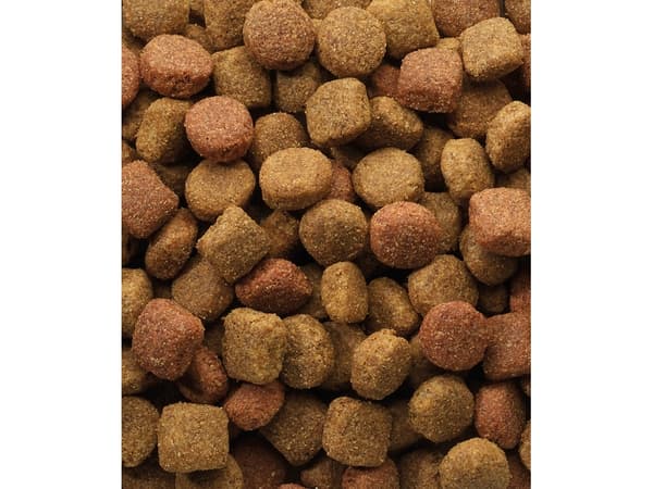 Versele-Laga Duo Krok, Senior, 20 kg
