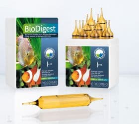Prodibio Biodigest PRO 10 ampoules