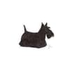 Miniatyrbilde 3 av 3: Royal Canin Mini Dermacomfort 1kg, Voksen, Grønnsaker, 1 kg